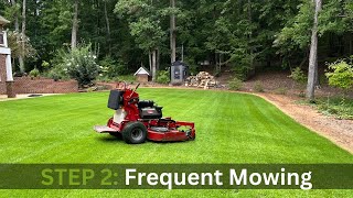 Mow New Turf  How to Make Zoysia Thicker  Seeded Zenith Zoysia [upl. by Ellemrac]