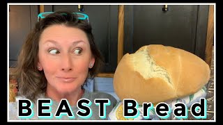 🍞 BEAST Bread in 90 Minutes 🥖 [upl. by Notlek807]