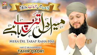 Hafiz Tahir Qadri  Mera Dil Tarap Raha Hai  New Heart Touching Naat 2023  Mujhe Le Chalo Madina [upl. by Kidd]