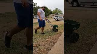 Overseeding my neglected side lawn gardening lawncare lawnmaintenance grass lawn [upl. by Ybbob]