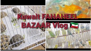 Kuwait FAHAHEEL BAZAAR Vlog 🇰🇼 [upl. by Eugen494]