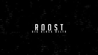 Big Black Delta  Roost Dark Matter Lyric Video [upl. by Hulburt]