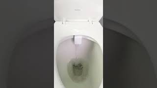 How to Use a Bidet  Easy to Use Better Than Toilet Paper How to Clean After Pooping [upl. by Kapor339]