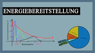 Energiebereitstellung im Muskel  Verlauf mit Erklärung  Grafiken  Knowhow fürs Training [upl. by Kapoor]