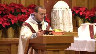 Dec 27  Homily St John the First and Last Apostle [upl. by Ezmeralda]