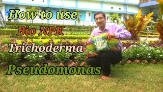 Use Bio NPK  Trichoderma and Pseudomonas and See the Results [upl. by Diann102]