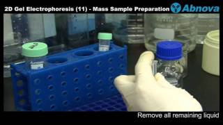 2D Gel Electrophoresis 11 Mass Sample Preparation [upl. by Enyawd]