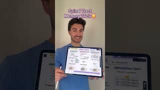 Spinal tract memory hack from my Neurology guide medschool medstudent usmle usmlestep1 step1 [upl. by Gernhard797]