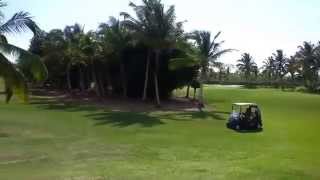 Catalonia Royal Bavaro Punta Cana Golf Course [upl. by Haleemaj]