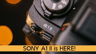 Sony A1II  First Impressions [upl. by Fenner685]