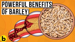 9 POWERFUL Benefits Of Eating Barley Every Day You Must Know [upl. by Anirdnaxela482]