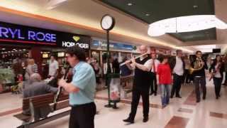 Flashmob symphonique  Centre commercial Auchan Noyelles [upl. by Esinehs]