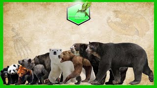 Bear Species Comparison LİVİNG EXTİNCT [upl. by Lita]