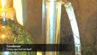 Essential Oil Micro Distillation [upl. by Justinian]