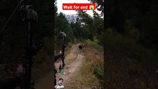 मार दिया बेचारे निर्दोष जीव को।🥺 hunting hunt dear blackbuck shortvideo short shorts viral [upl. by Aliuqaj]