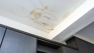 Common Causes of Water Stains on a Ceiling [upl. by Oniotna]