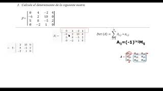 Tercer Parte Determintante por Cofactores [upl. by Mario]