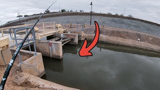 Canal Only Fishing Challenge Crazy Blowup [upl. by Chris]