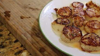 How to make Pan Fried Scallops [upl. by Cagle]