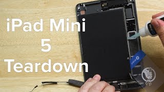 iPad Mini 5 Teardown [upl. by Darom]