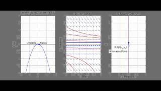 What is a SaddleNode Bifurcation [upl. by Ellora67]