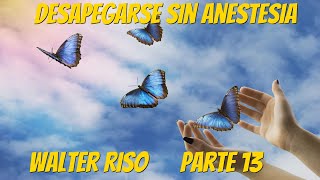 Desapegarse Sin Anestesia  Walter Riso Parte 13 [upl. by Anamuj]