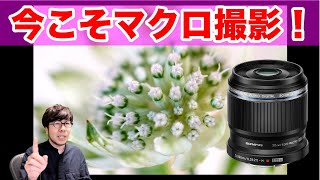 今こそ室内でマクロ撮影！オリンパスのお手頃マクロレンズ「M ZUIKO DIGITAL ED 30mm F3 5 Macro」レビュー [upl. by Sidky]