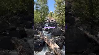 Taggart Lake Trail grandtetonnationalpark usa wyoming [upl. by Pitts]