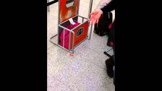 Bag which easy jet declined as carry on baggage and fined us [upl. by Hilly]