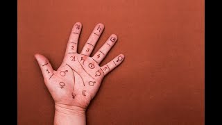 Decoding Palmistry The Art of Palm Reading Unveiled │ FactzYouShouldKnow [upl. by Akir]