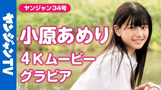 【4Kムービーグラビア】美少女図鑑AWARD2024・6冠獲得かつグランプリに輝いた美少女・小原あめりちゃんが初登場まさに青春を感じさせるグラビア撮影に最高画質で没入密着！【メイキング】 [upl. by Ecneps]