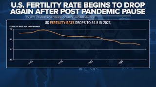 Report Birth rate drops to historic lows [upl. by Allak770]