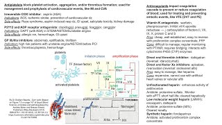 Antiplatelet agents vs anticoagulant drugs [upl. by Farl]