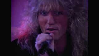 Whitesnake  Fool For Your Loving  Greatest Hits 2022 [upl. by Myrt]