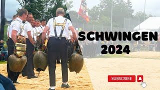 SCHWINGEN HUNDWIL  APPENZELLER KANTONALSCHWINGFEST 2024  Swiss Wrestling [upl. by Llerral]