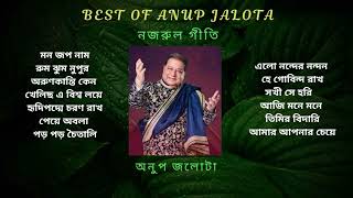 Anup Jalota  Bhajan  Nazrul Sangeet   নজরুল গীতি  অনুপ জলোটা  Khelicho A Bisho Loye [upl. by Naimerej4]