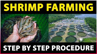 Shrimp Farming  How to start Prawn Farming Business  Step by step Guide [upl. by Alegnatal]