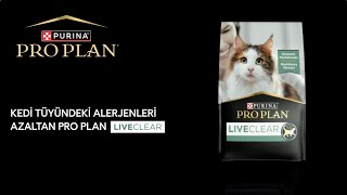 Kedi Tüyüne Hassasiyetiniz mi Var Pro Plan LiveClear Kedinizin Tüylerindeki Alerjenleri Azaltır [upl. by Casia]