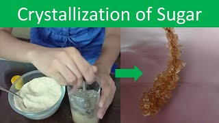 Crystallization of Sugar  Science Experiment For Kids  The Science Girl [upl. by Notkcorb259]