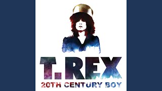 20th Century Boy [upl. by Namolos]