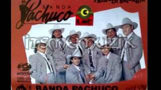 Banda Pachuco quotPachuco Bailarínquot [upl. by Miriam295]