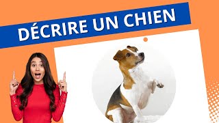 Apprendre à décrire en Français  Décrire un chien [upl. by Snowber]