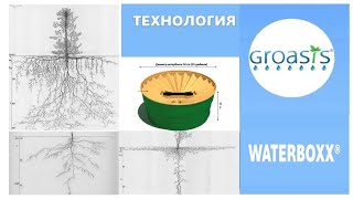 Groasis Waterboxx for Central Asia [upl. by Yeh]