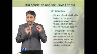 Kin Selection and Inclusive Fitness  Animal Physiology and Behavior Theory  ZOO502TTopic262 [upl. by Esinart]