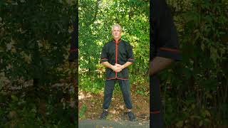 One Simple Qigong Exercise For Increasing Energy qigong [upl. by Ingar]