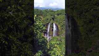 Chasing Waterfalls in Kauai  Opaekaa Falls amp Hoopi Falls Adventure [upl. by Noinatrad]