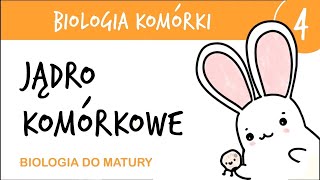 Cytologia 4  Jądro komórkowe  biologia rozszerzona matura liceum przygotowanie do matury z biologi [upl. by Anderegg]