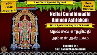 Nellai Gandhimathi Amman Ashtakam  நெல்லை காந்திமதி அம்மன் அஷ்டகம் aadivelli [upl. by Willi831]