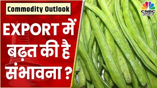 Guar Seed Share News नए Highs और मुनाफावसूली के बाद कैसा है हाल आगे क्या करें निवेशक  Commodity [upl. by Larcher]