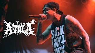 Attila  Middle Fingers Up LIVE [upl. by Htaeh]